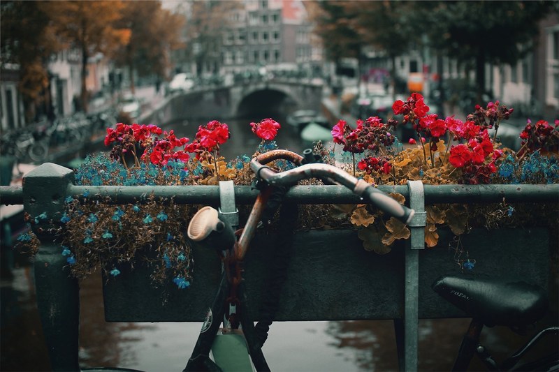 flower bike amsterdam and bridge 4k