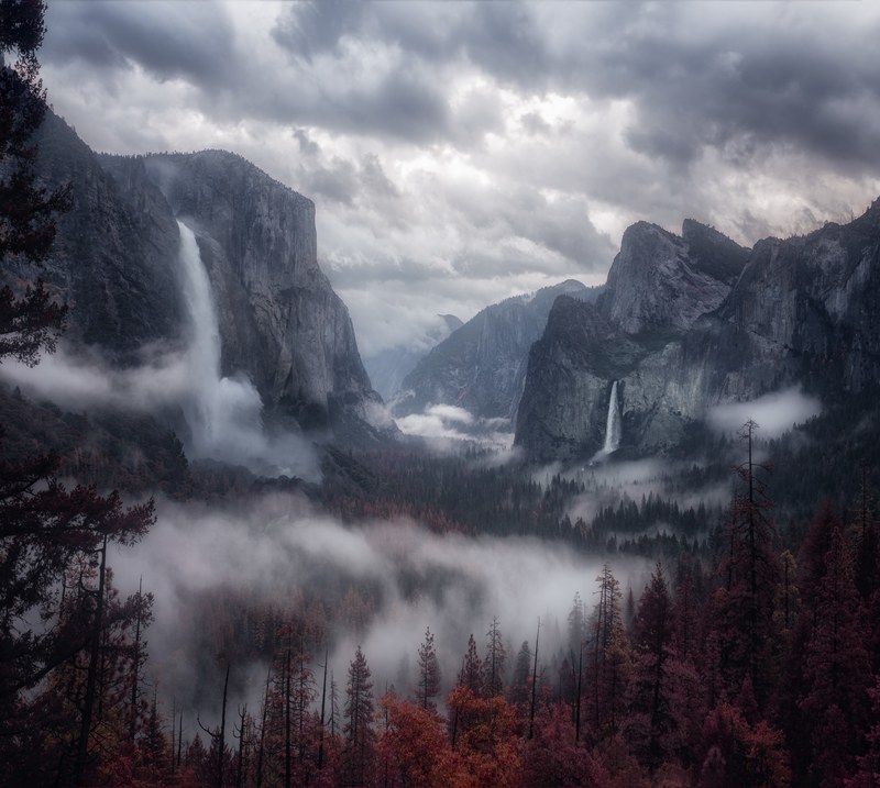mist fog mountain and tree 4k