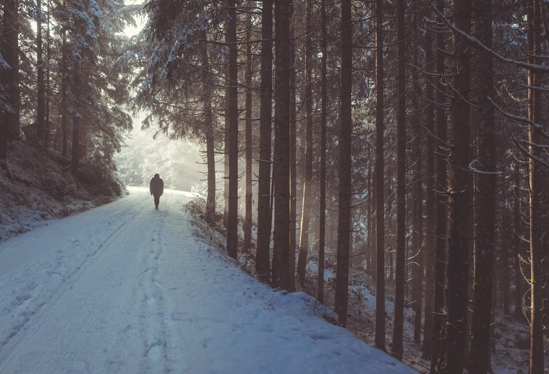 a person walking along a snowy tree lined path in neukirchen am grovenediger, a snowy walk in the forest 4k