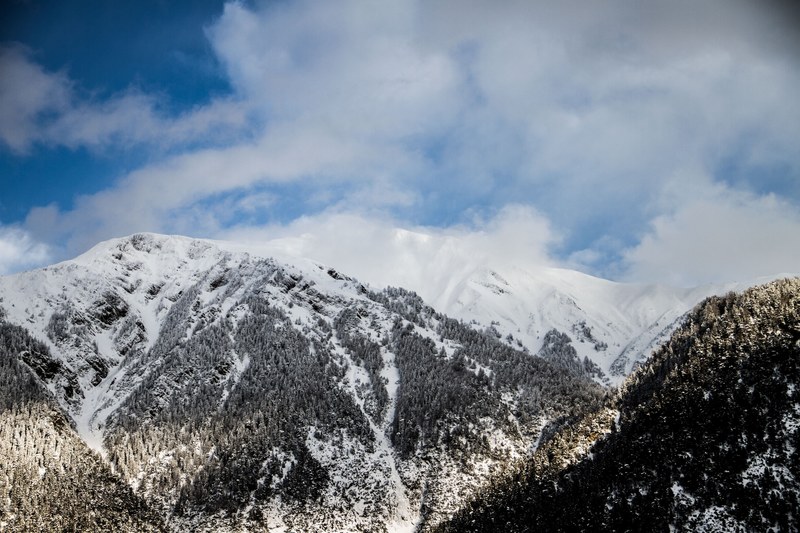 an alpine landscape with evergreen forests covering the snowy slopes, snowy mountains in brig 4k