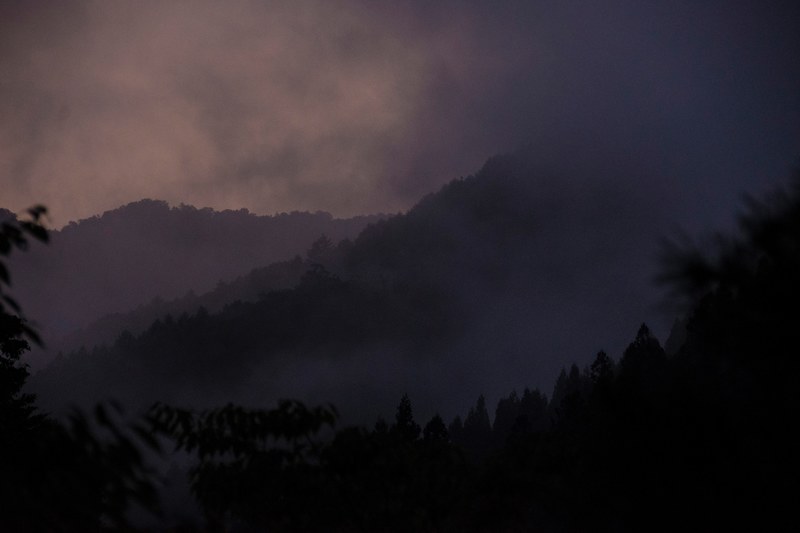 a mountain forest at dusk in nagano japan 4k