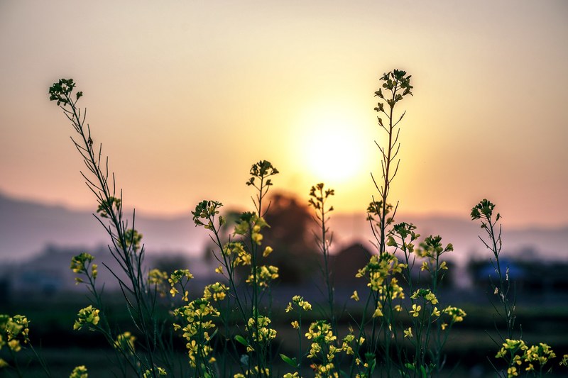 magical sunset 4k