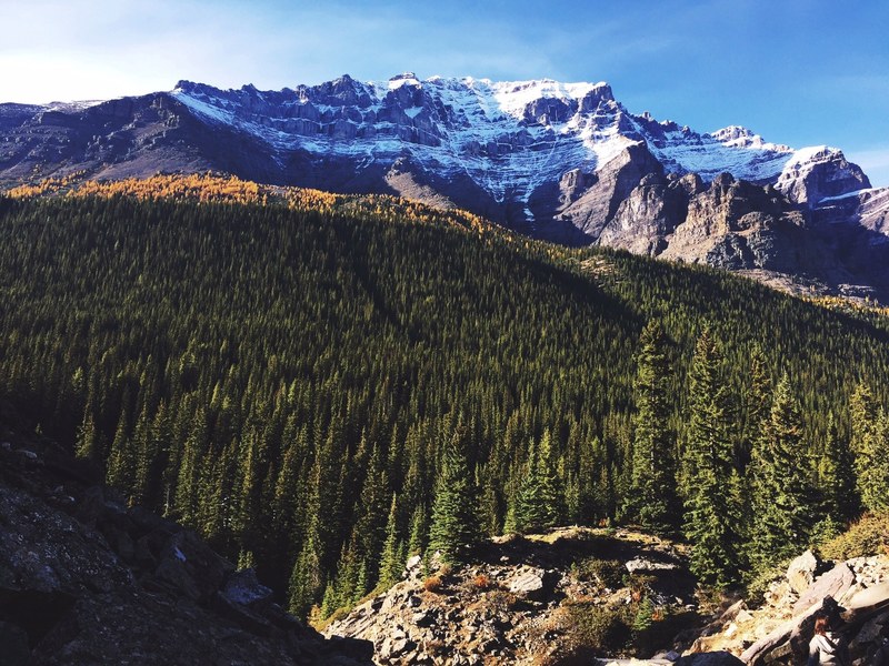 moraine lake in alberta canada against a forest of trees and snow capped mountains, moraine lake by surrounded by trees and mountains 4k