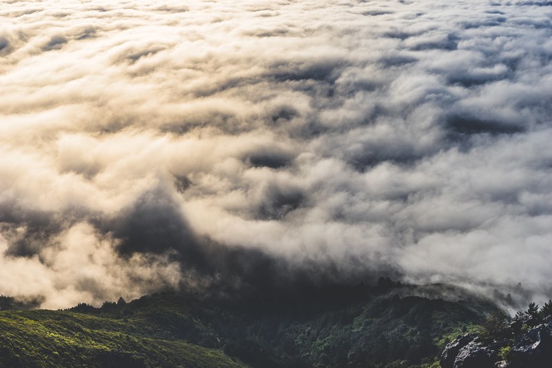 view from mount tamalpais on the fluffy clouds gathering at its foot, clouds at a mountains base 4k