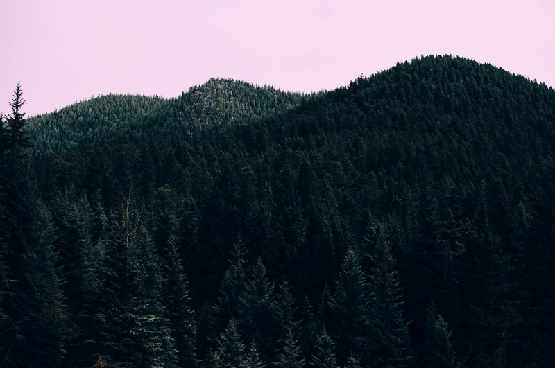 a pink sky over wooded mountain tops near olive lake, pink sky over mountain woods 4k