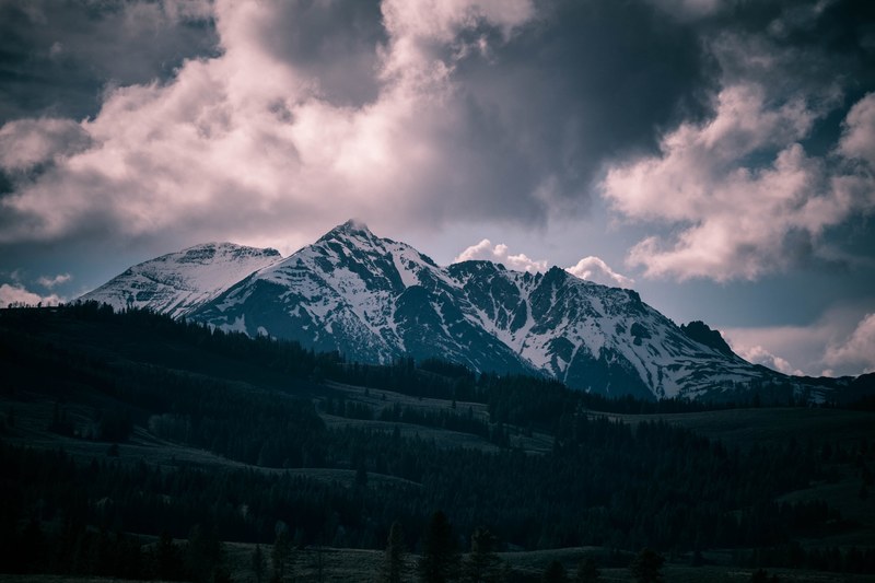 a snow topped mountain near shady woods in yellowstone national park, snowy mountains in yellowstone 4k