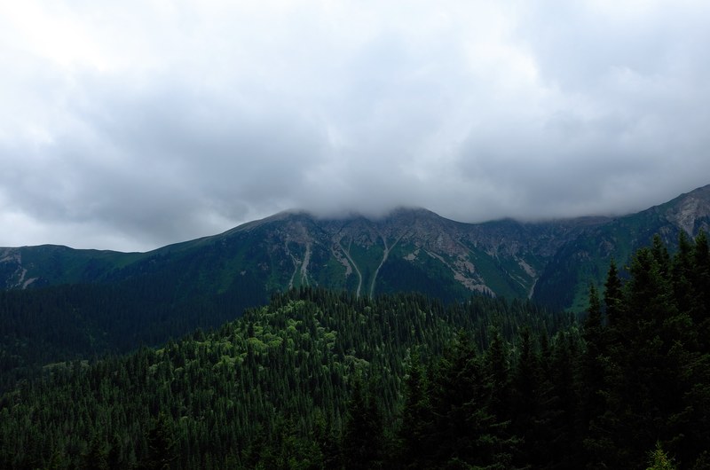 cloud topped mountains near a green forest in kyrgyzstan, cloud topped mountains 4k