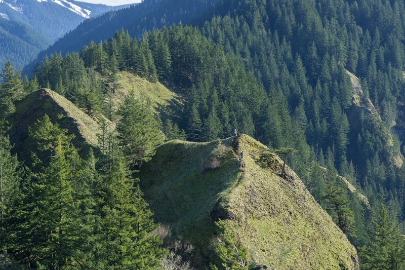 hikers walking on top of a mossy mountain ridge, hikers on mossy mountains 4k