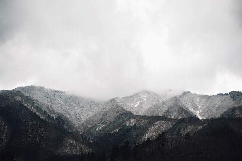 wooded mountain slopes on a gray day, gray slopes 4k