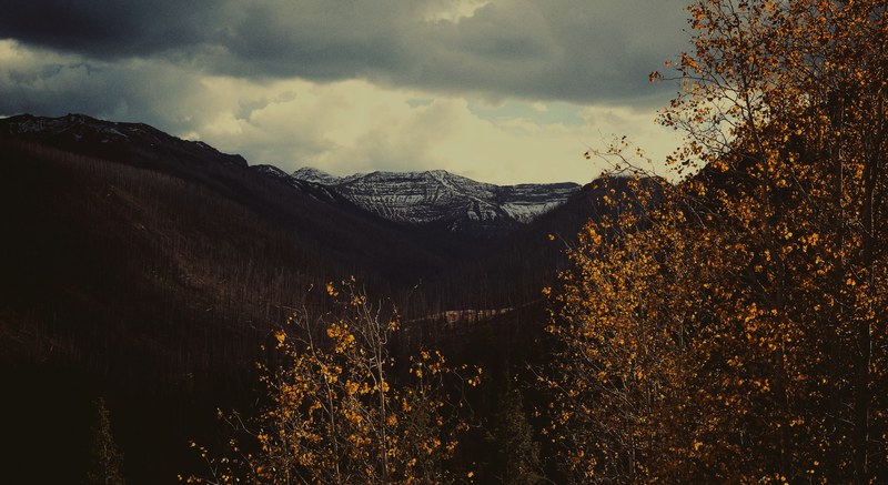 a view through autumn branches on the snow capped mountains in the distance, snowy mountains in autumn 4k
