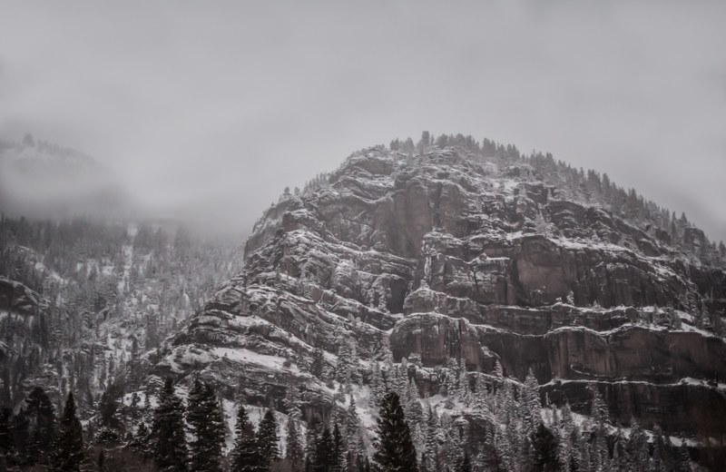 a craggy mountain covered with coniferous woods in ouray, forest on a mountain in ouray 4k