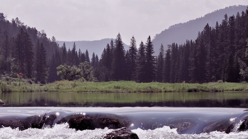 round rocks in a smooth lake near black hills, round rocks in a lake 4k