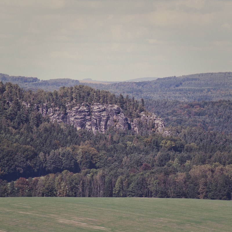 trees growing on a jagged rock formation surrounded by dense woods, trees on jagged rocks 4k