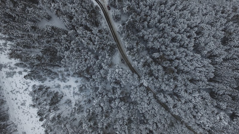 country road winds through a snowy forest landscape, look up 4k
