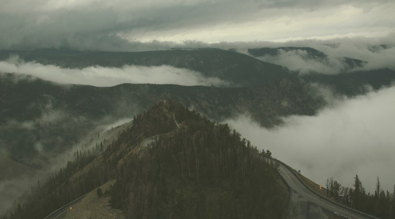 beartooth highway surrounded by trees on a foggy day, the pass 4k