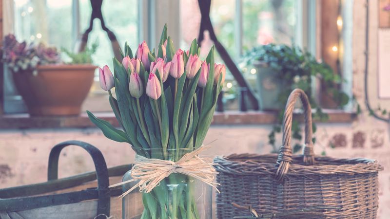 tulips, bouquet, vase, 4k