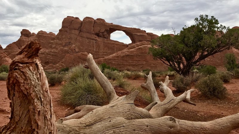 red utah and arch 4k