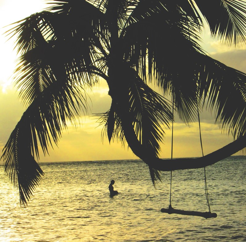 a silhouette of a person in the sea near a swing on a palm tree during sunset, seaside swing at dusk 4k