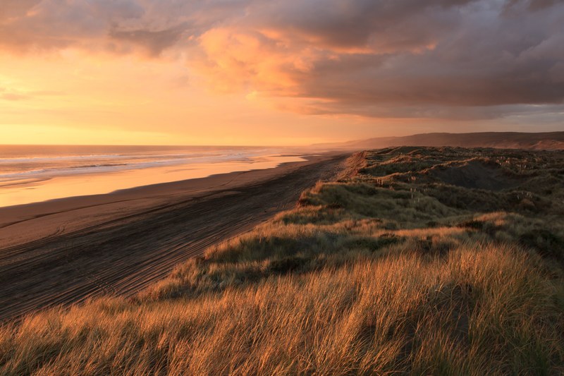 a cloudy sunset over the grassy sand dunes and coastal water at port waikato tuakau auckland new zealand, cloudy sunset over the sand dunes 4k