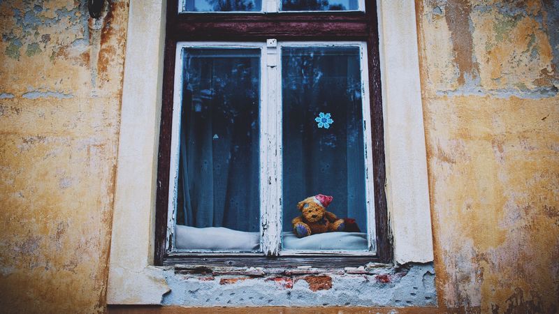 window, teddy bear, vintage, 4k