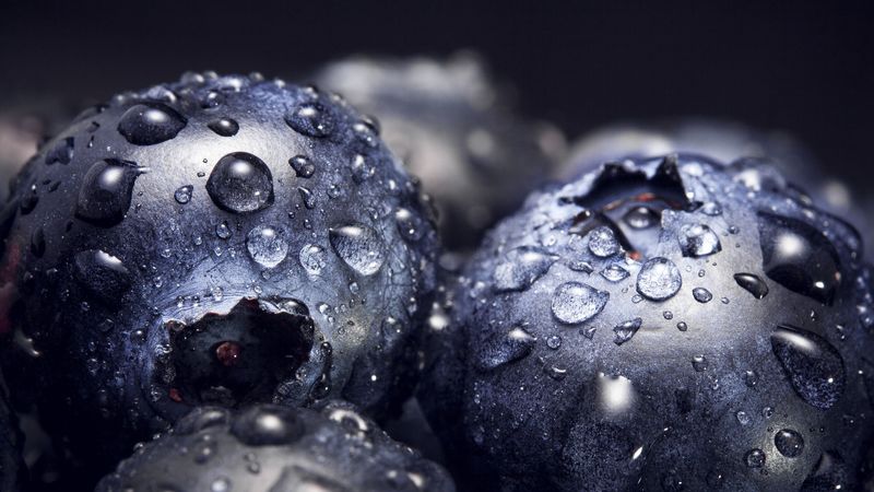blueberries, drops, close-up, 4k