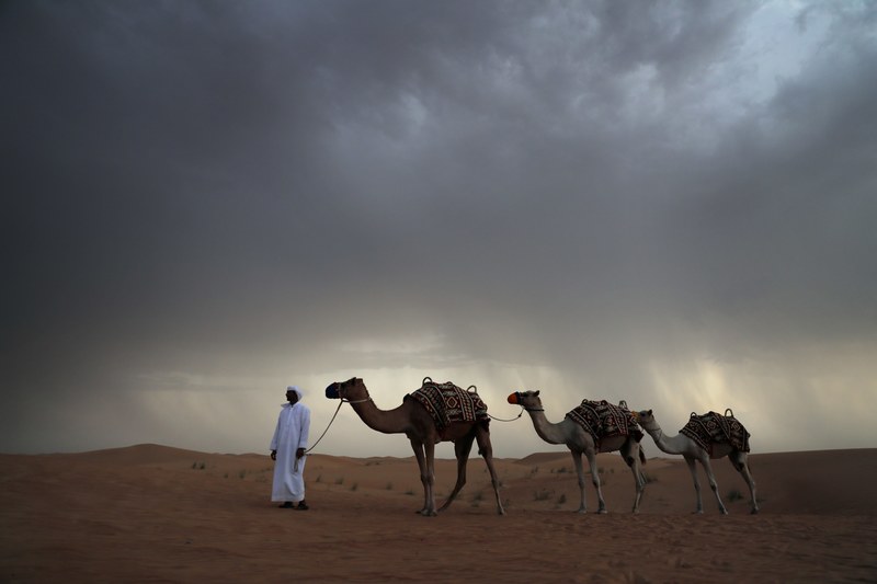 desert storm stormcloud and camel 4k