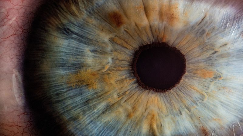 eye, pupil, close-up, 4k