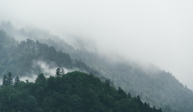 fog rolling down a forested slope in jesenice, fog on a slope in jesenice 4k