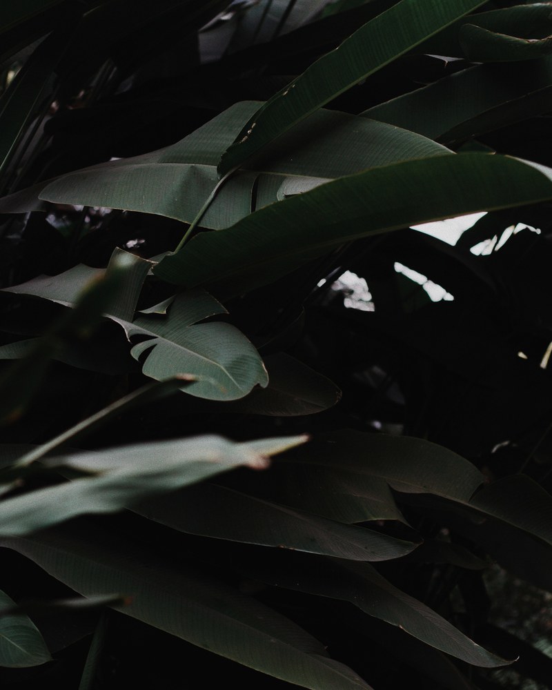 take me in_ 4k