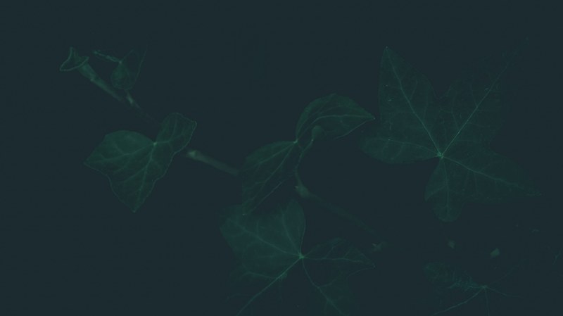 blur line effect and color 4k