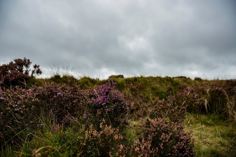moor cloudy cloud and autumn 4k