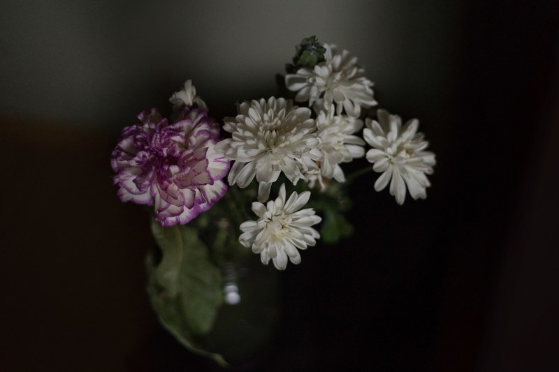 flower beautiful vanity and beauty 4k
