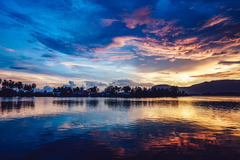 tree sky palm and asian 4k