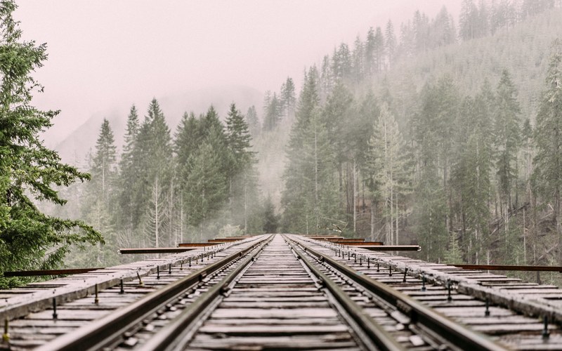 a low shot of a railroad track leading into a coniferous forest, on elevated railroad tracks 4k