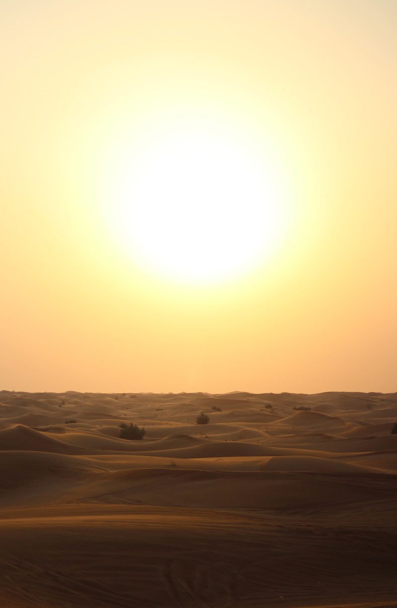 sufficient view of the sunset over a dubai desert on summer evening, golden colors at dubai desert 4k