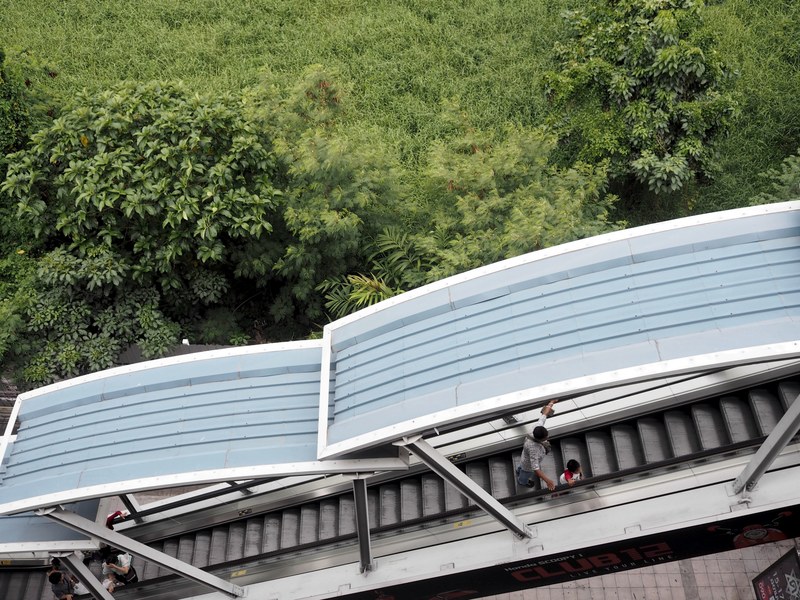 people using solar roof escalator near the forest, people on the escalator 4k