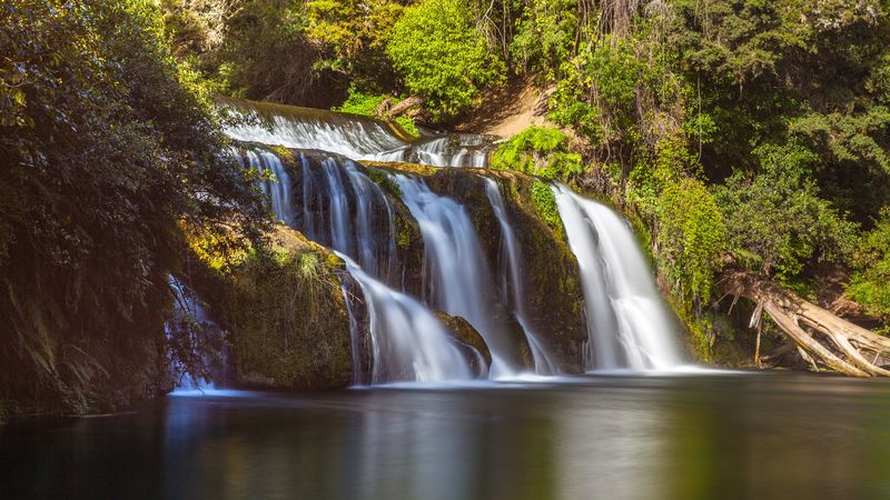 waterfall, branches, stream, 4k