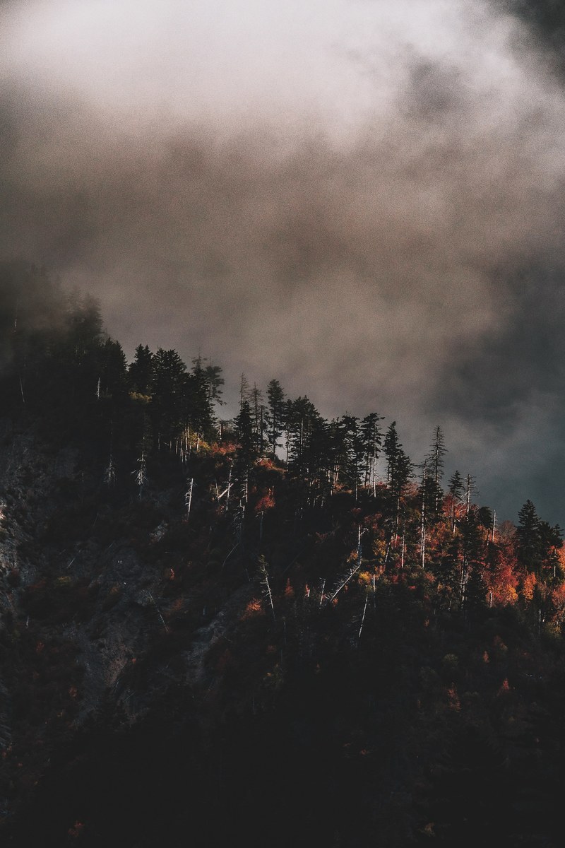 layers of light 4k