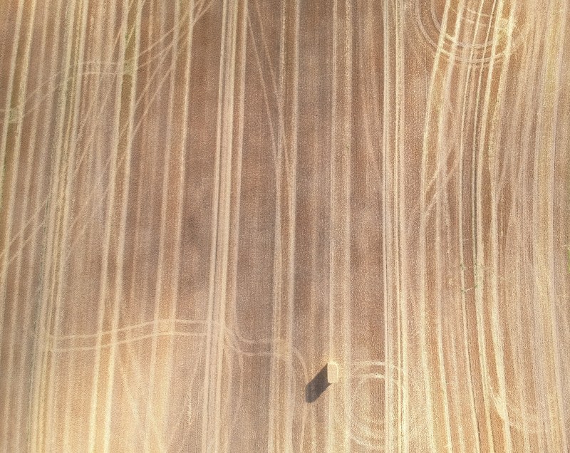 aerial view field crops and wheat 4k