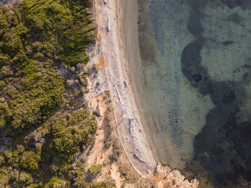 drone view of the sand coast with old trees by the forest at hyres provence alpes cte dazur france, plage blanche du langoustier 4k