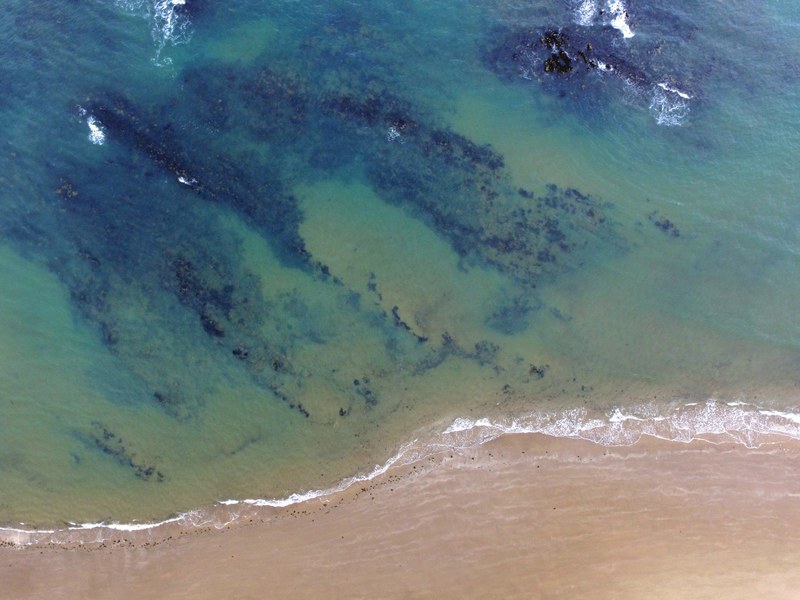 drone aerial wafe and beach 4k