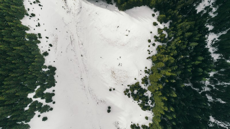 overhead a snowy field surrounded by a lush pine forest, snowy forest 4k