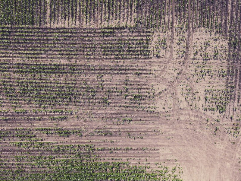 a drone shot of a plantation in fargo, plantation from above 4k