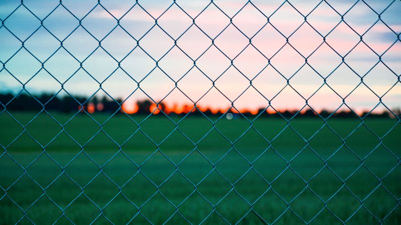 fence, wire mesh, grass, 4k