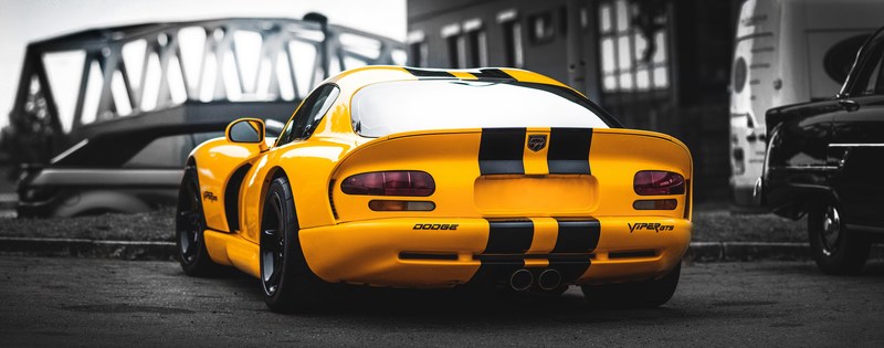 car stripe snake and viper 4k
