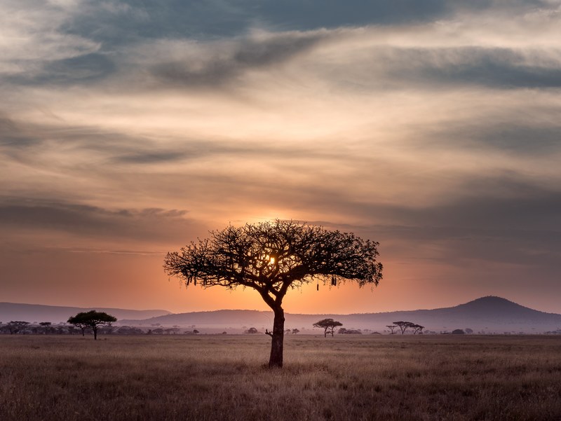 sunset in serengeti 4k