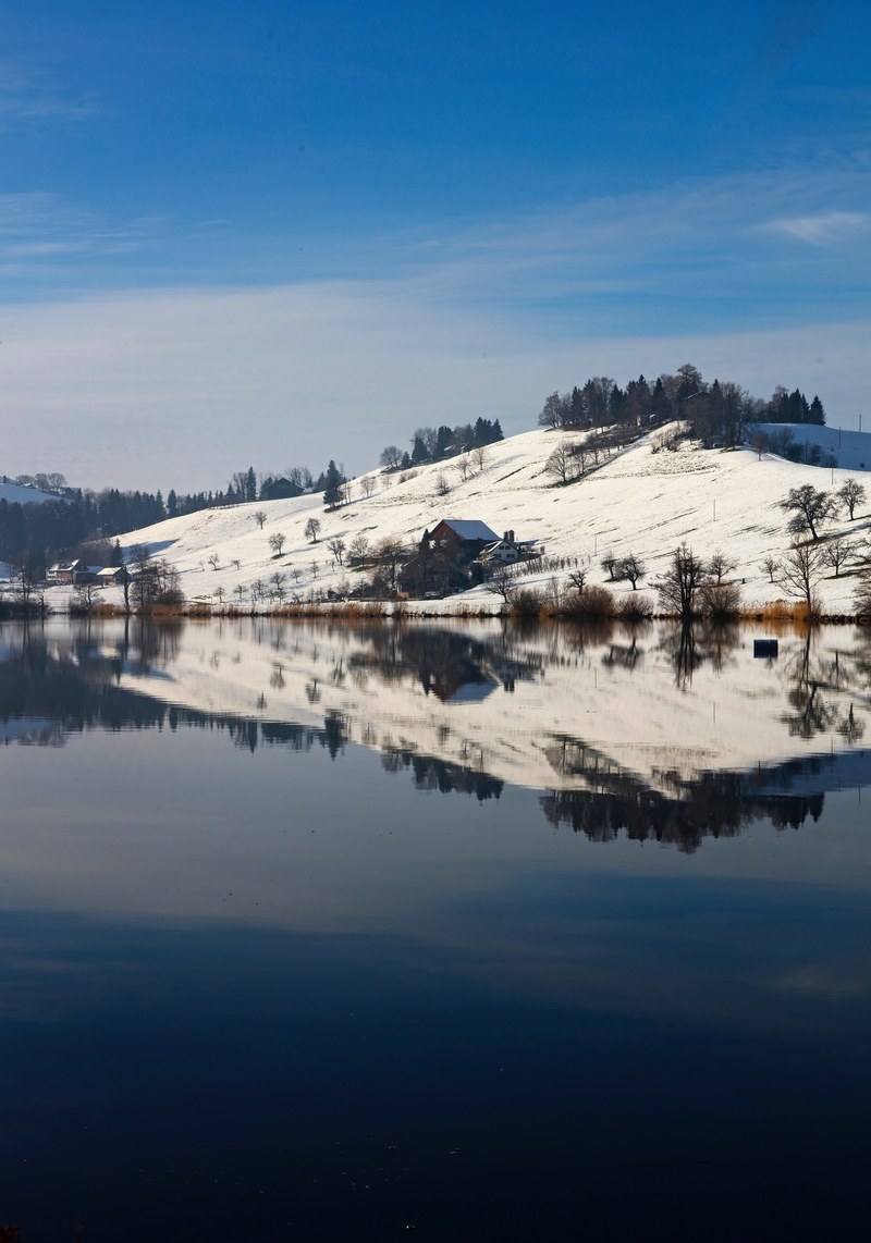 winter reflections 4k
