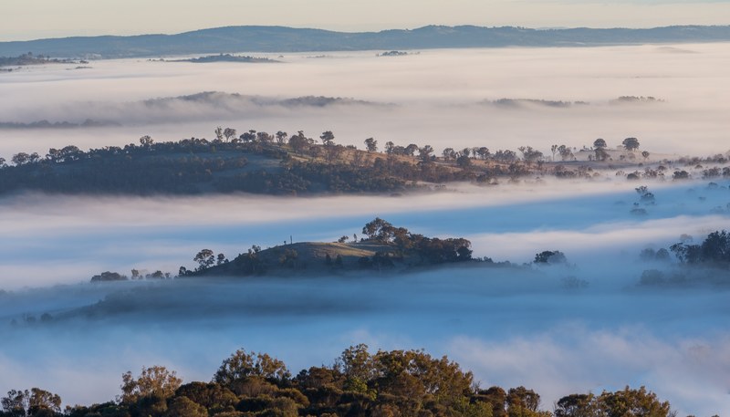 early morning fog at goorooyarroo nature reserve 4k