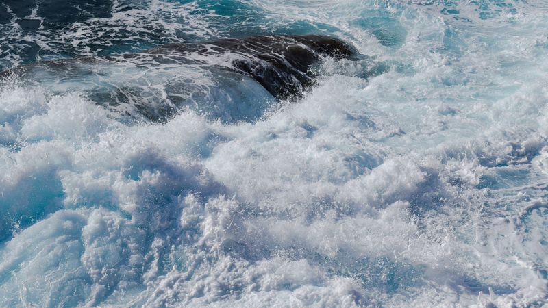 waves, reef, spray, 4k