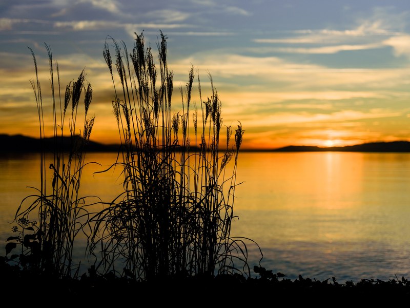 tranquility 4k